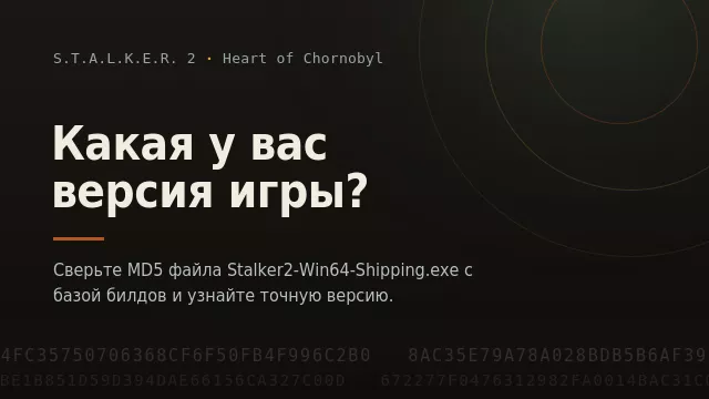 Определение версии S.T.A.L.K.E.R. 2 по MD5